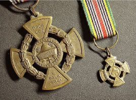 Medalha do Cinquentenário