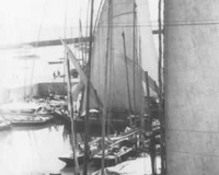 Detalhe de jangadas em porto na Bahia - abril de 1950. Detalhe de jangadas em porto na Bahia - abril de 1950.