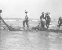 Pescadores e suas redes na Praia Grande / SP - fevereiro de 1940. Pescadores e suas redes na Praia Grande / SP - fevereiro de 1940.